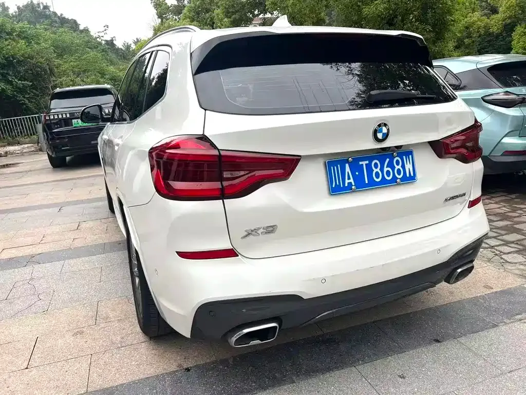 BMW X3 2021 из CN, фото 6