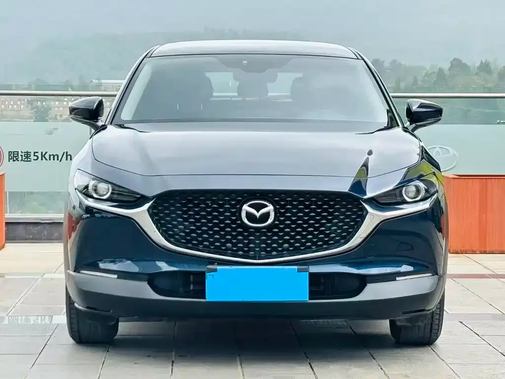 Mazda CX-30 2021 из CN, фото 6
