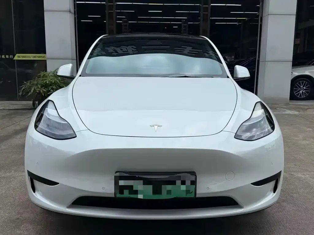 Tesla Model Y — фото 3