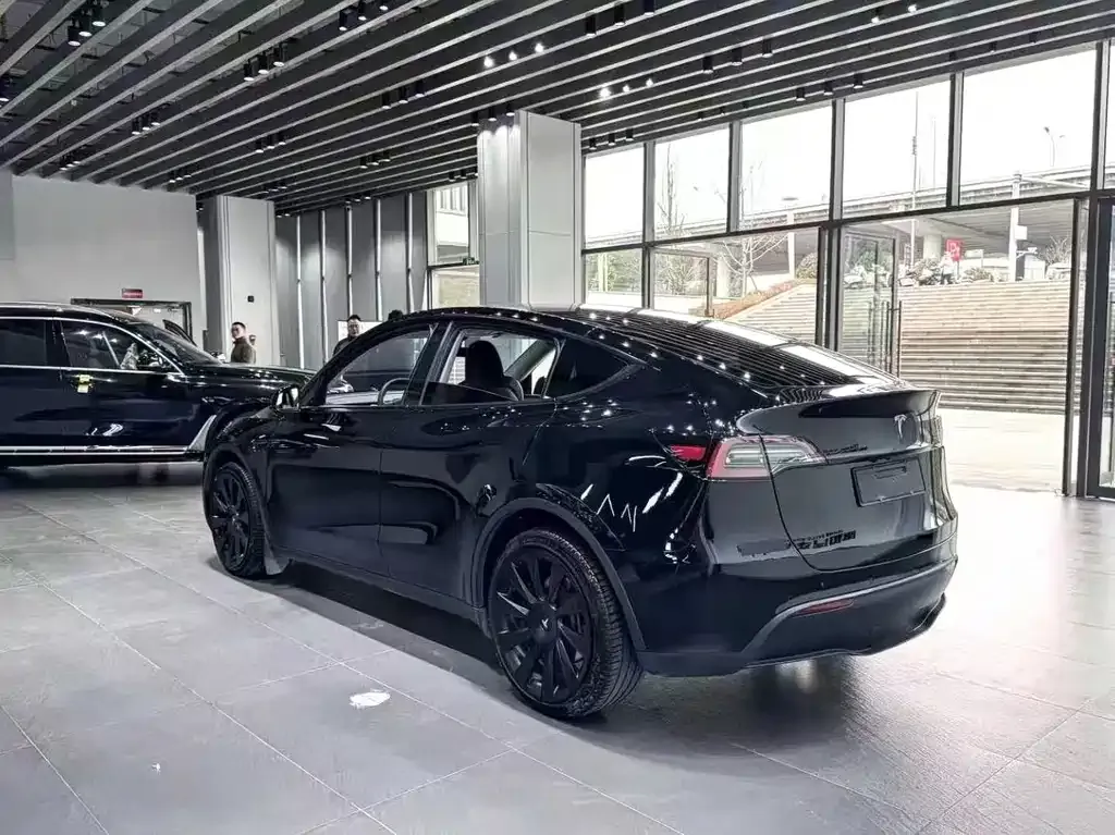 Tesla Model Y — фото 2