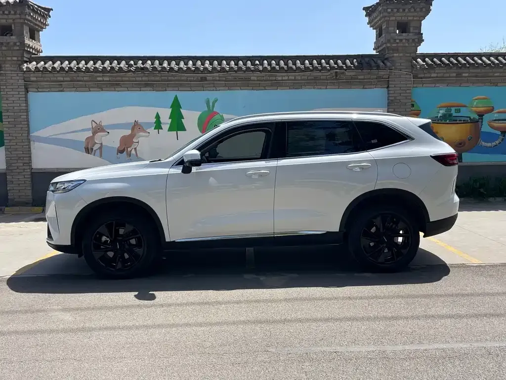 Haval H6 2022 из CN, фото 5