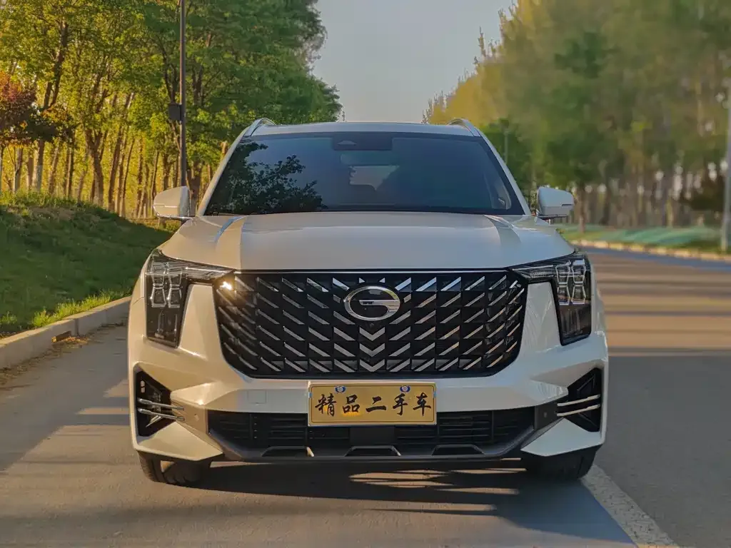 GAC Motor Trumpchi GS8 — фото 6