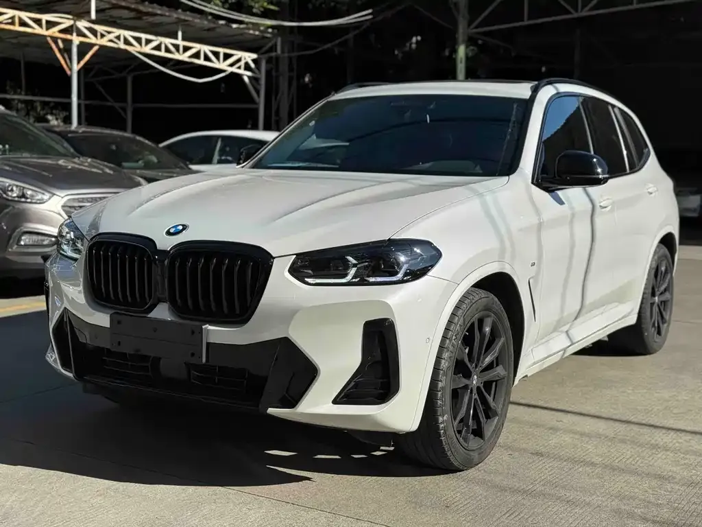 BMW X3 — фото 1