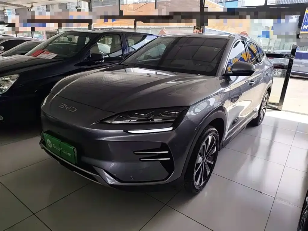 BYD PLUS New Energy — фото 1