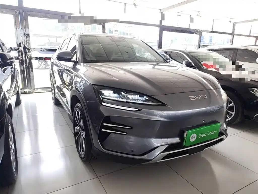 BYD PLUS New Energy — фото 4