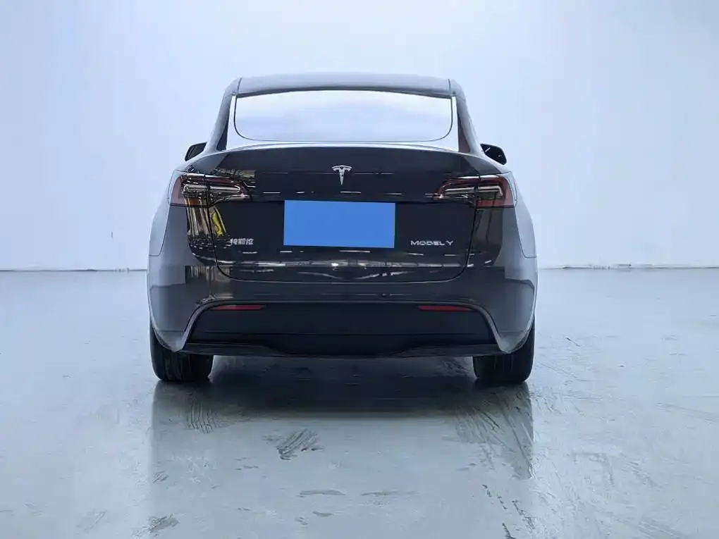 Tesla Model Y 2024 из CN, фото 2