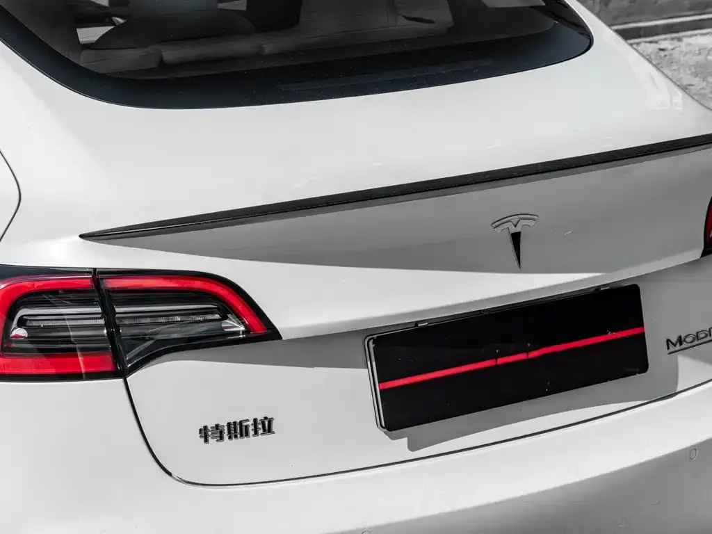 Tesla Model 3 2022 из CN, фото 2