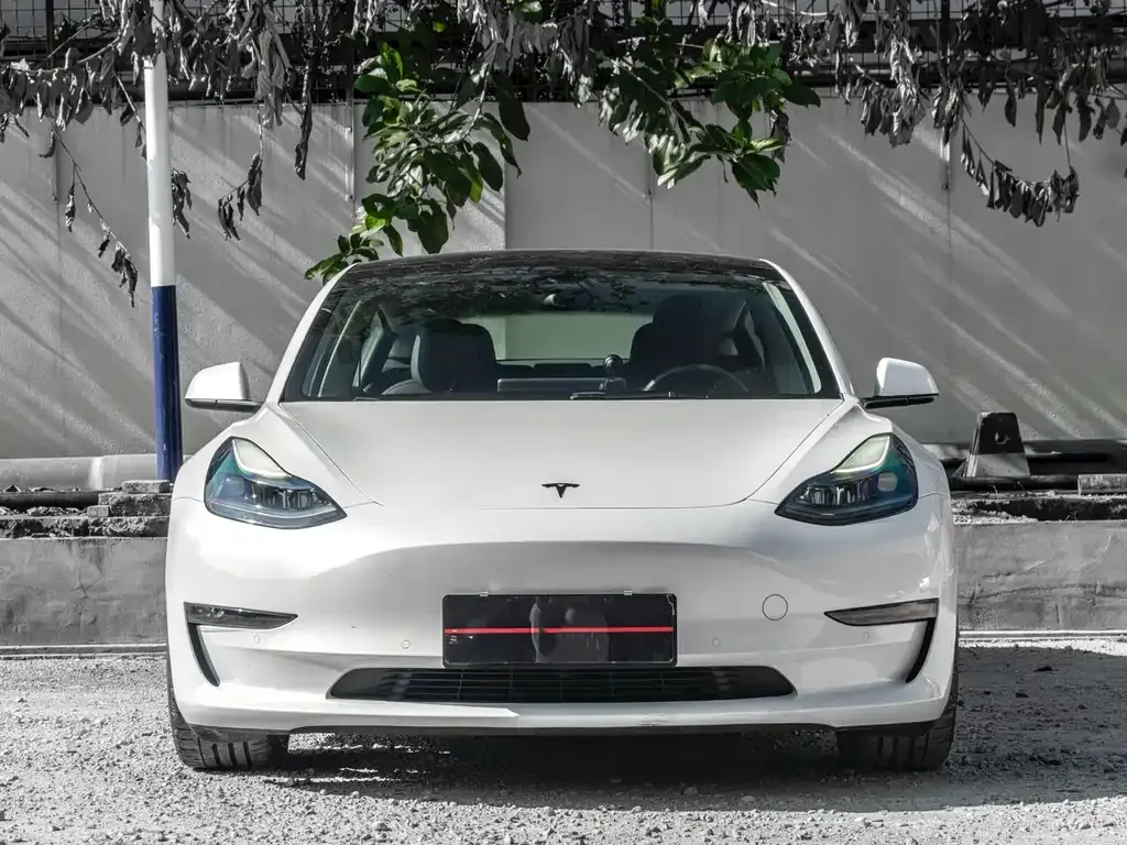 Tesla Model 3 2022 из CN, фото 4