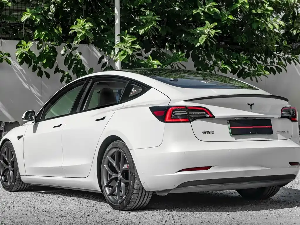 Tesla Model 3 2022 из CN, фото 7