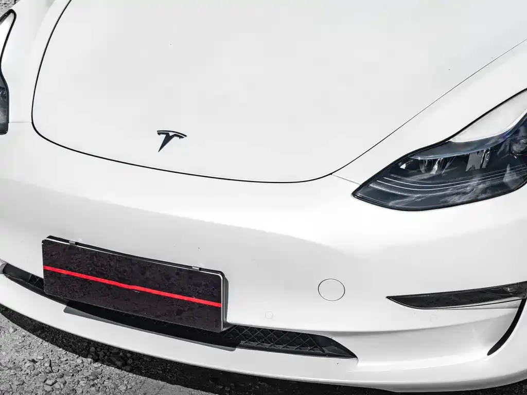 Tesla Model 3 2022 из CN, фото 5