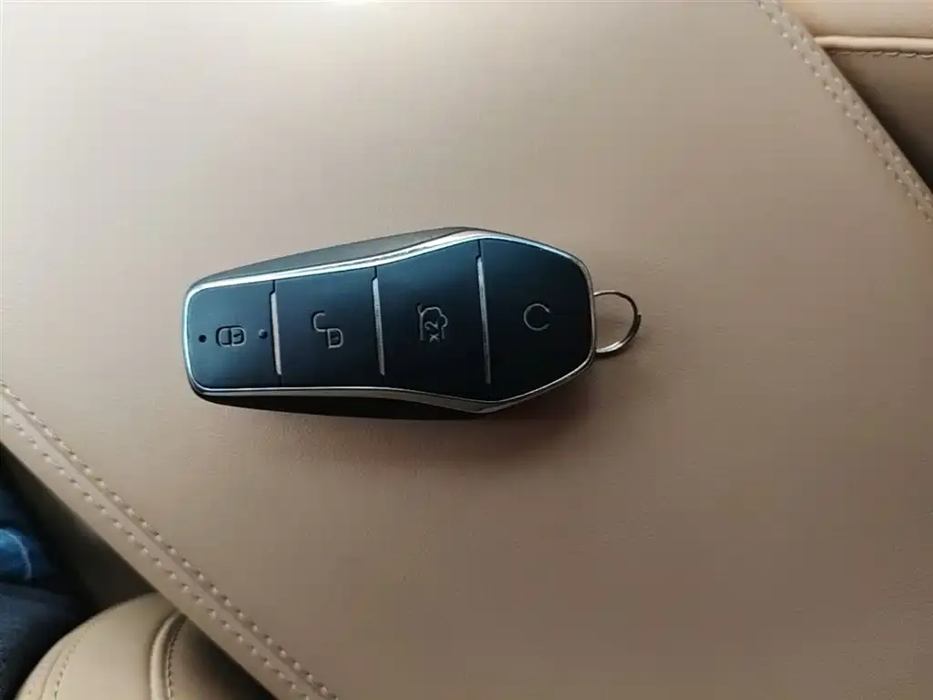 BYD L DM-i 2024 из CN, фото 8