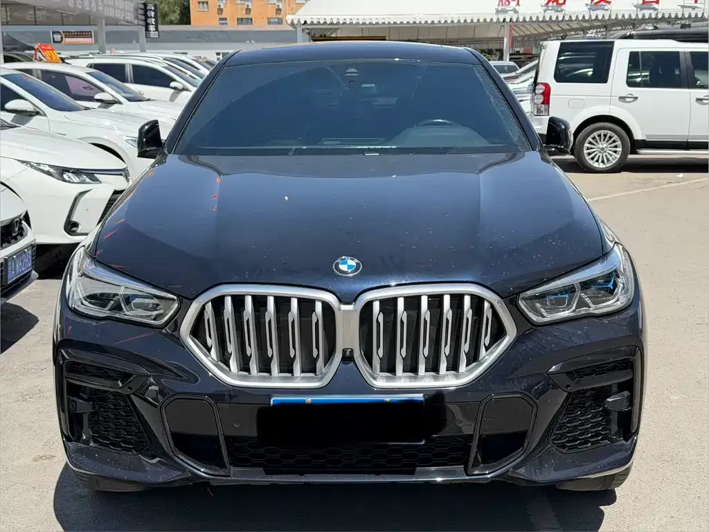 BMW X6 2023 из CN, фото 4