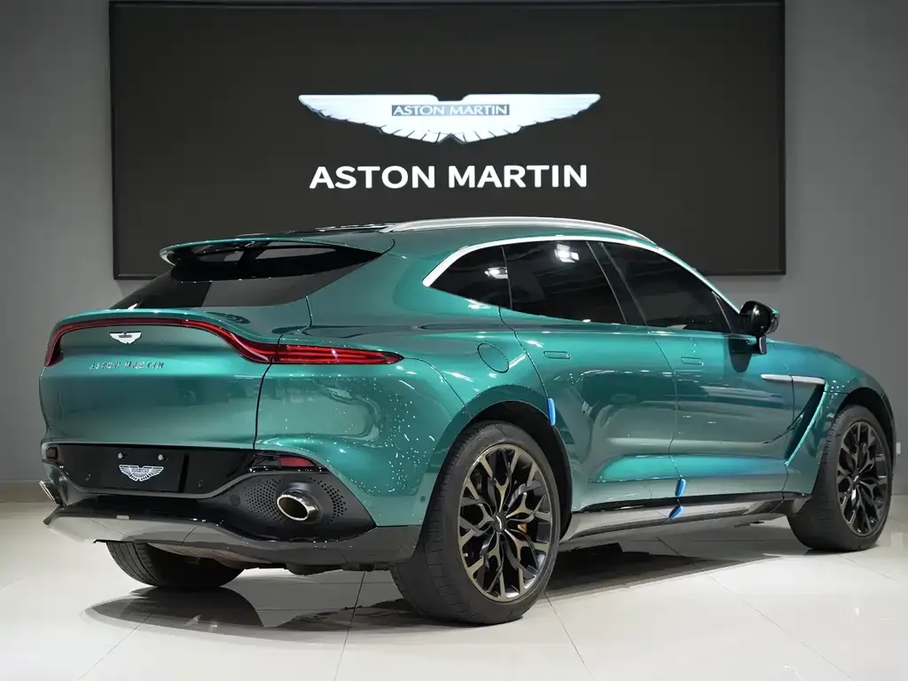 Aston Martin DBX 2023 из CN, фото 10