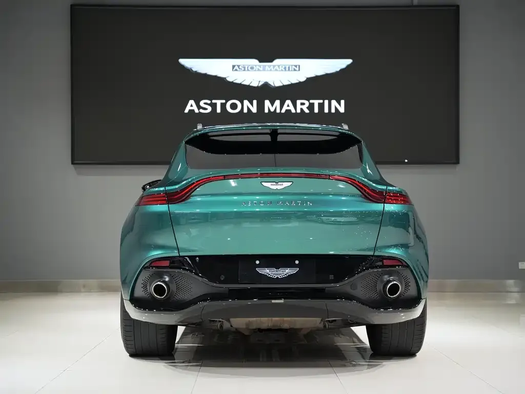 Aston Martin DBX 2023 из CN, фото 5