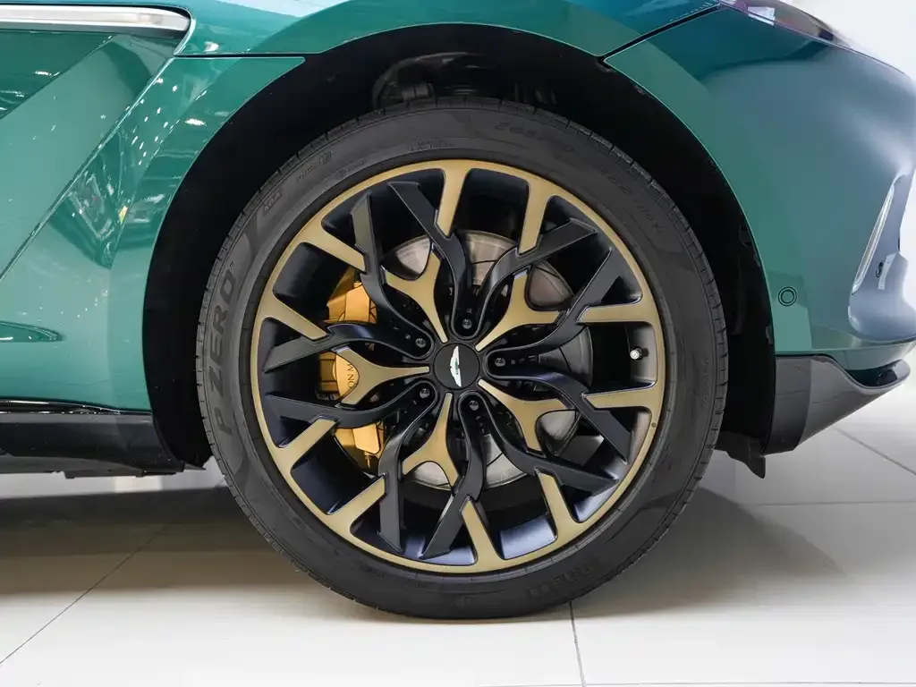Aston Martin DBX 2023 из CN, фото 7