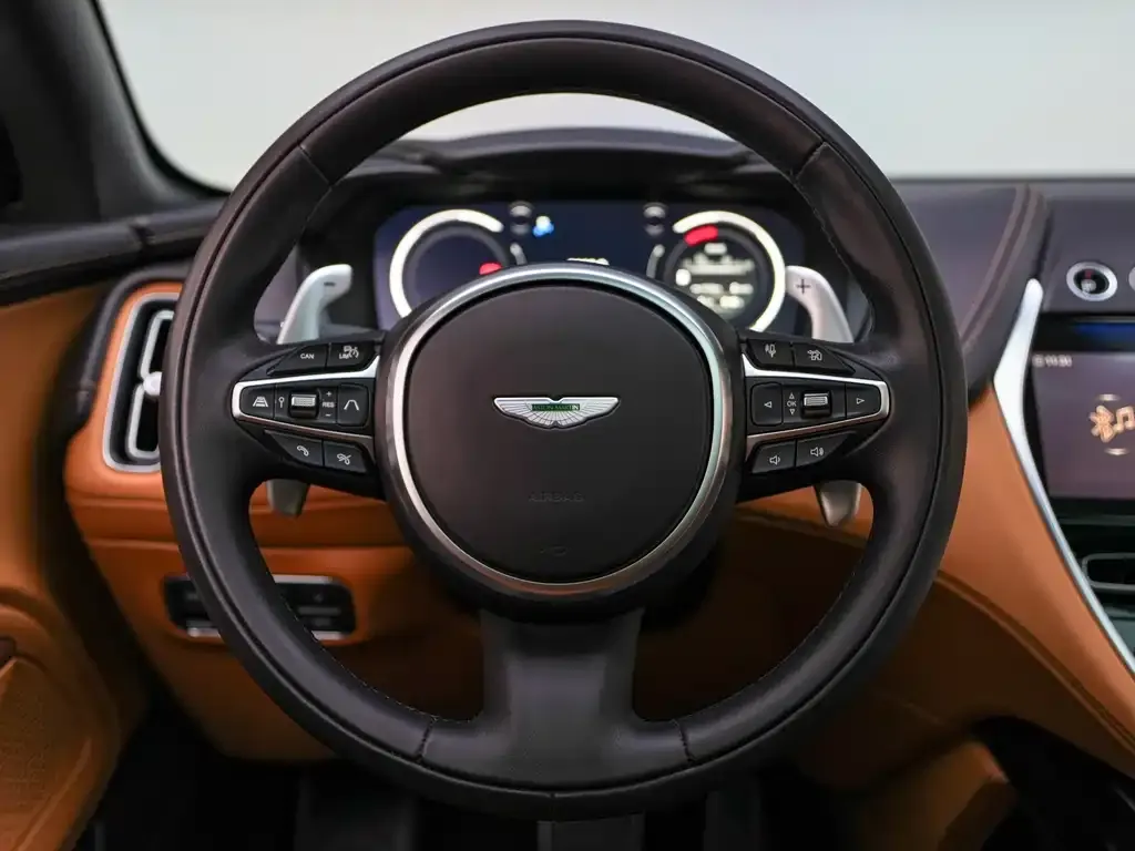 Aston Martin DBX 2023 из CN, фото 2