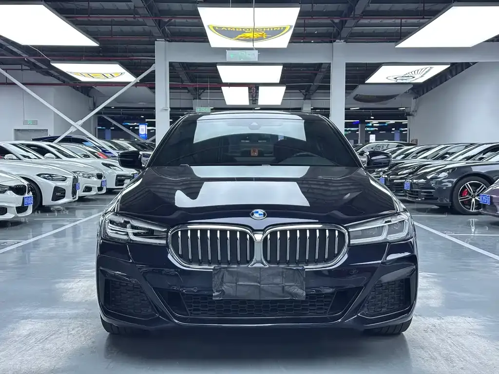BMW 5 Series 2022 из CN, фото 5