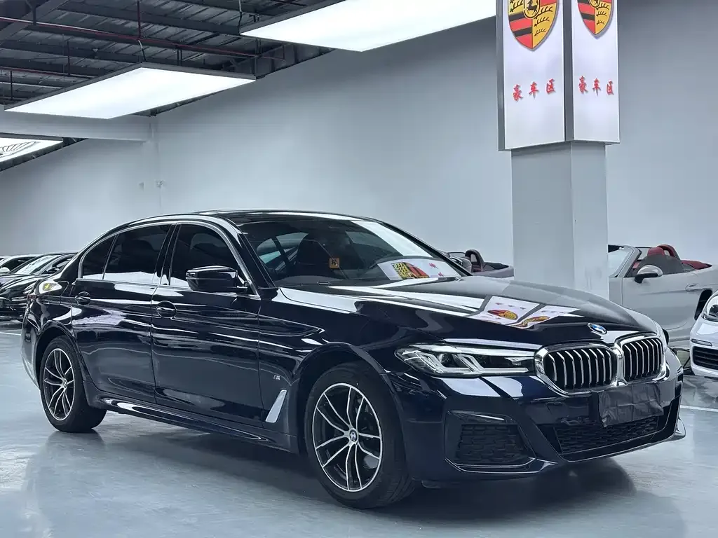 BMW 5 Series 2022 из CN, фото 4