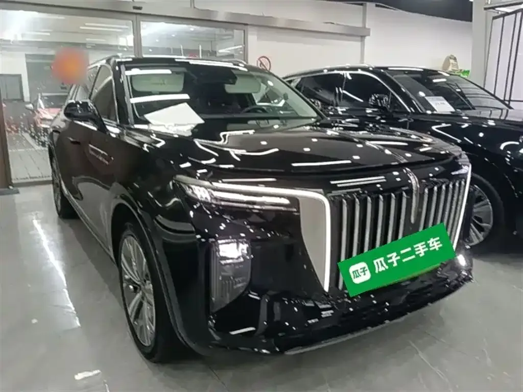 Hongqi E-HS9 — фото 9