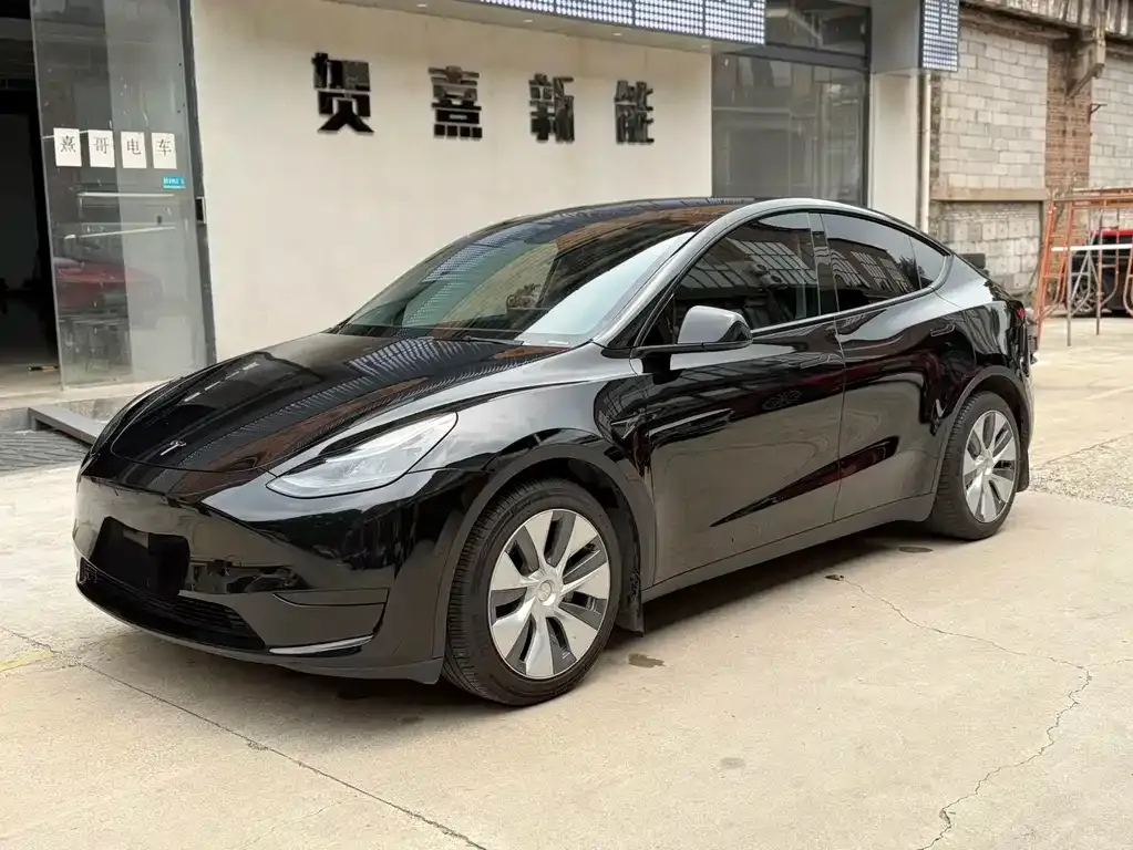 Tesla Model Y — фото 1