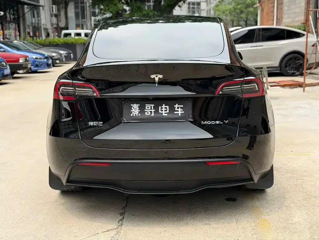 Tesla Model Y — фото 3