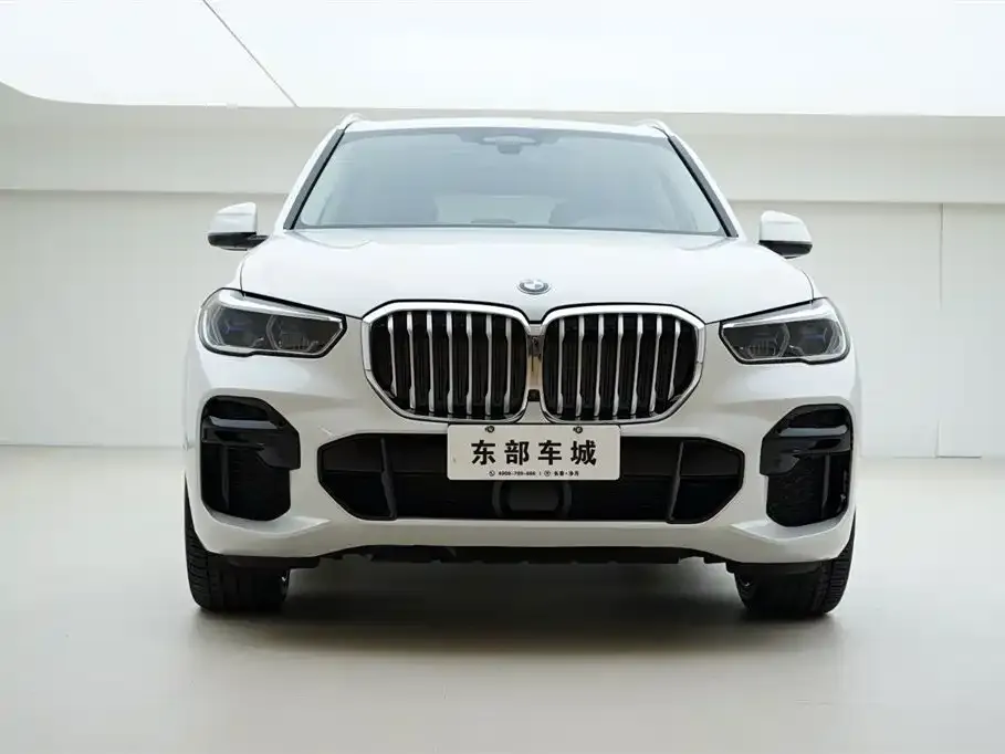 BMW X5 (Import) 2022 из CN, фото 2