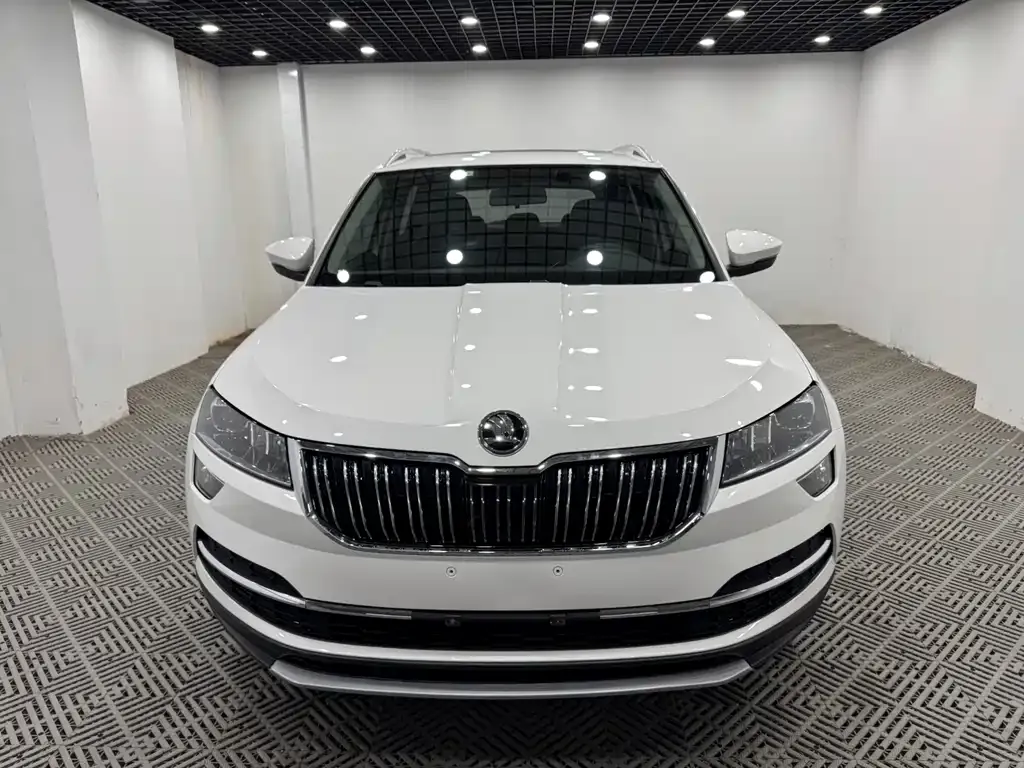 Skoda Karoq 2021 из CN, фото 4