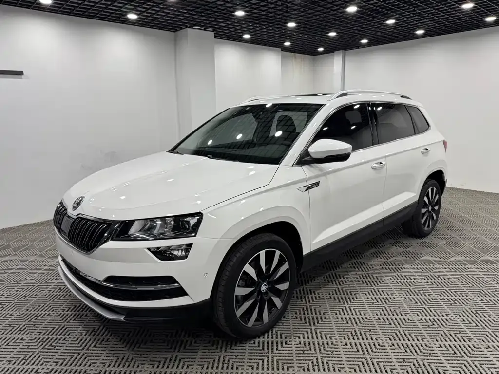 Skoda Karoq 2021 из CN, фото 7