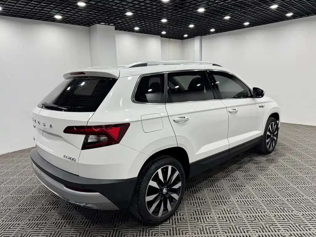 Skoda Karoq 2021 из CN, фото 9
