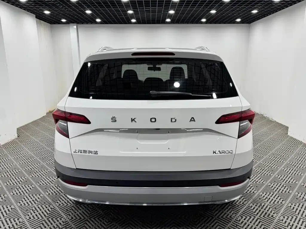 Skoda Karoq 2021 из CN, фото 8