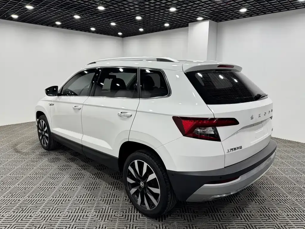 Skoda Karoq 2021 из CN, фото 5