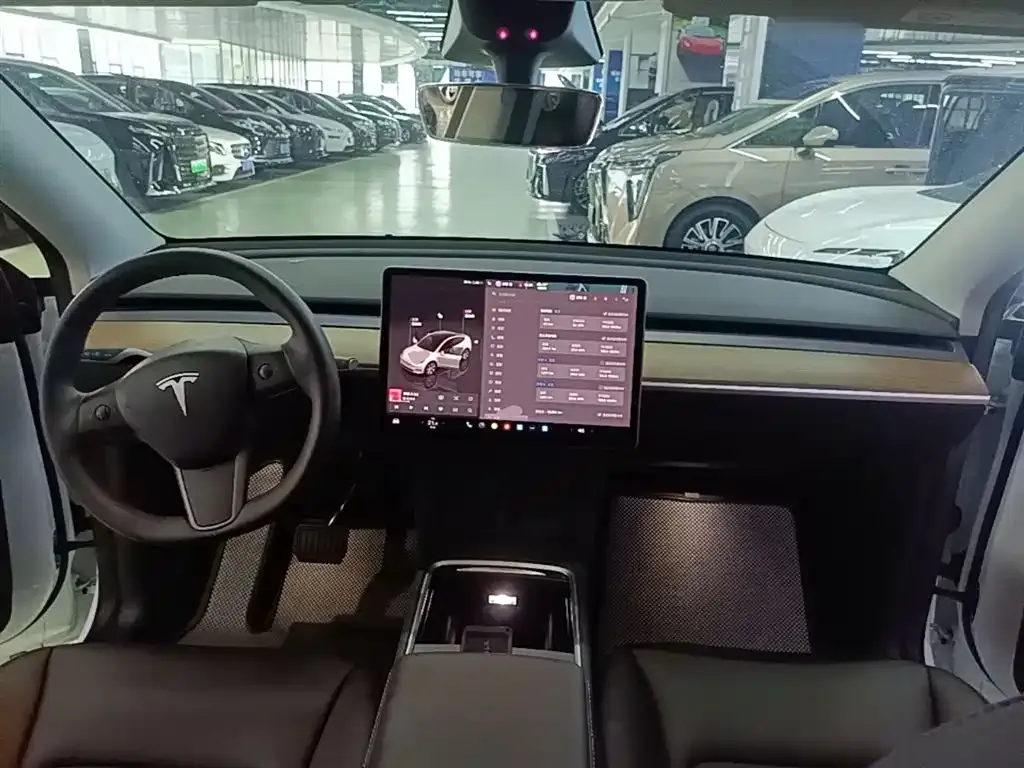 Tesla Model Y — фото 9