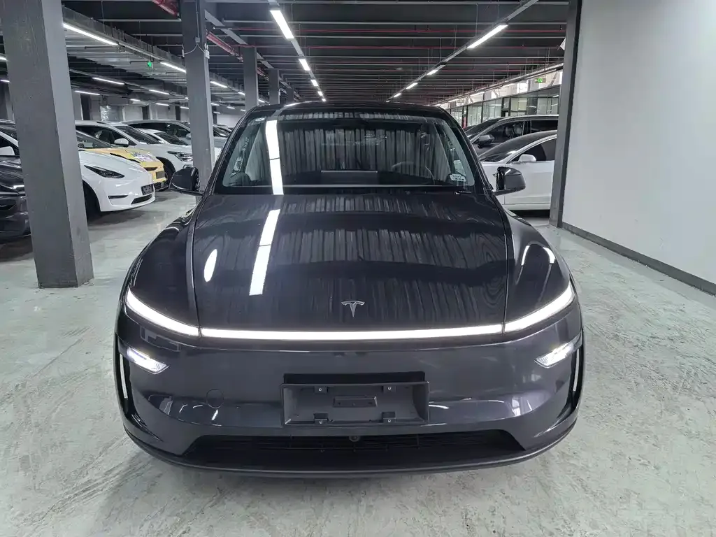 Tesla Model Y — фото 1