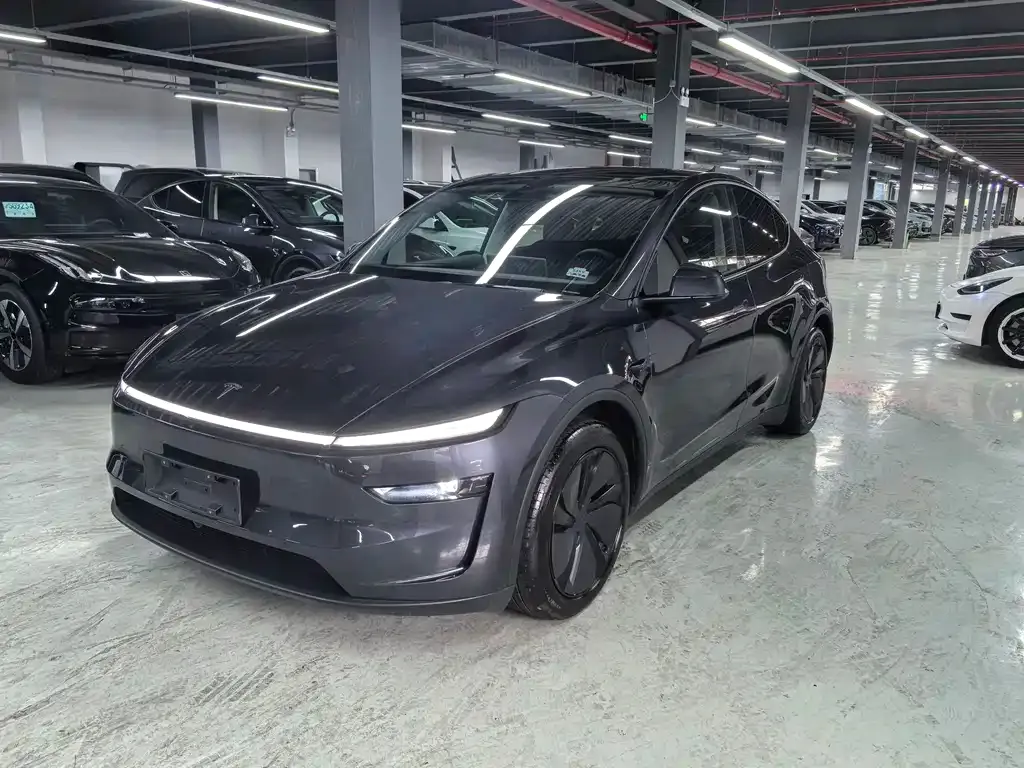 Tesla Model Y — фото 9