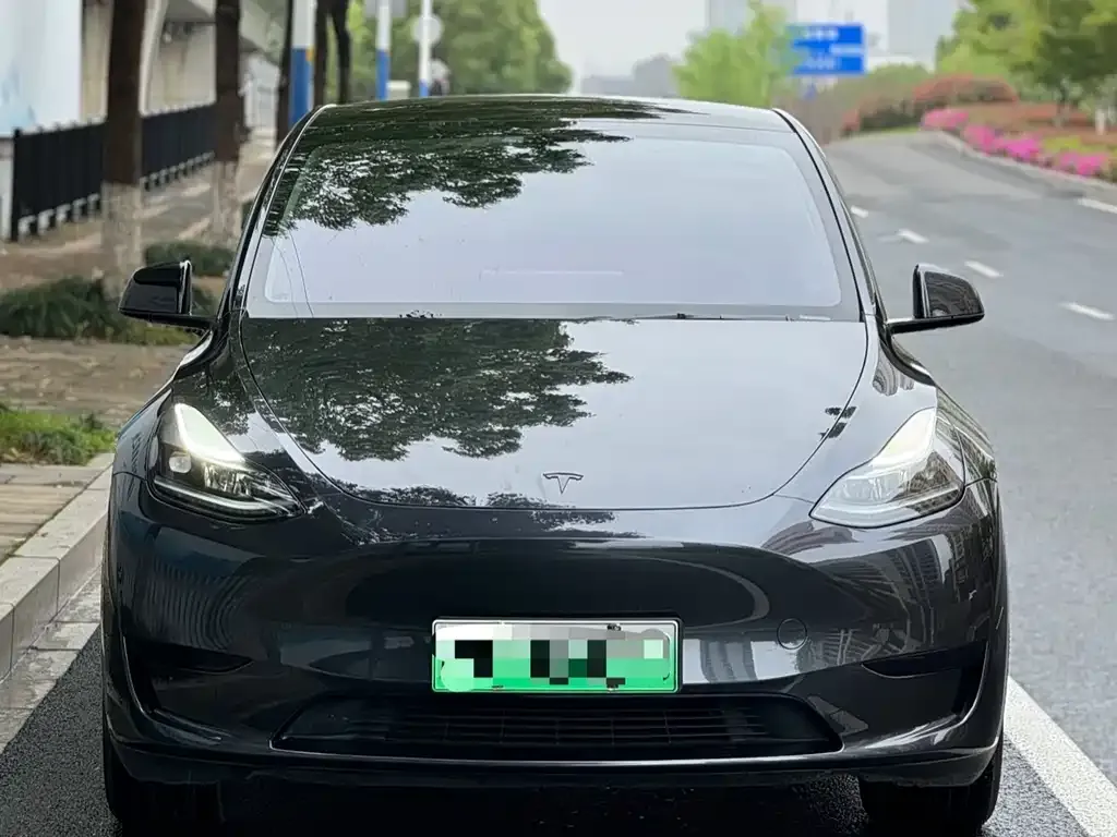 Tesla Model Y — фото 5