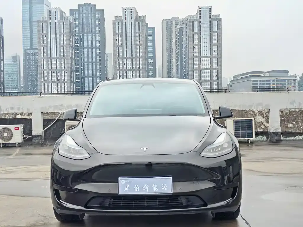 Tesla Model Y — фото 8