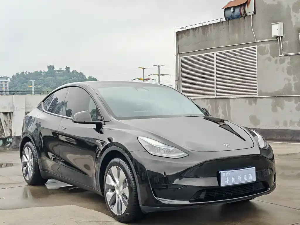 Tesla Model Y — фото 2