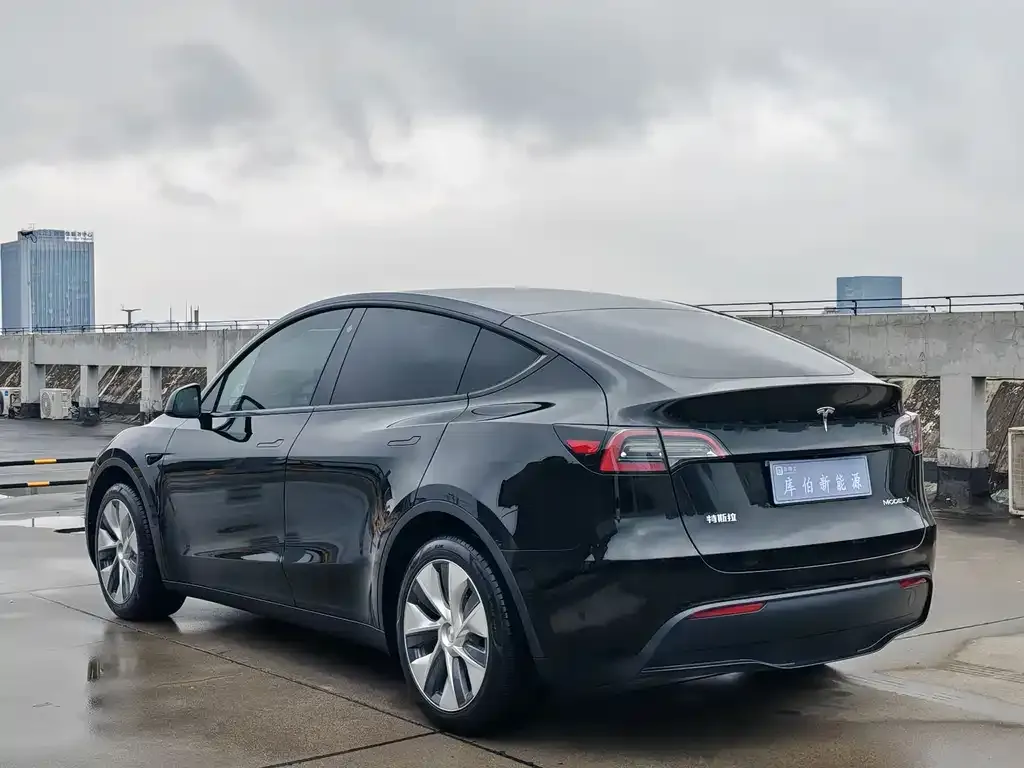 Tesla Model Y — фото 10