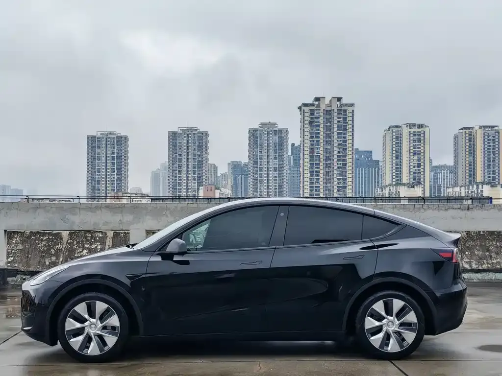 Tesla Model Y — фото 6