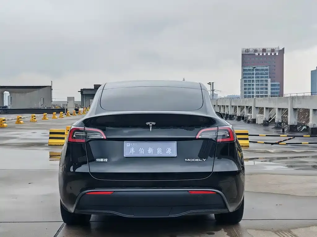 Tesla Model Y — фото 3