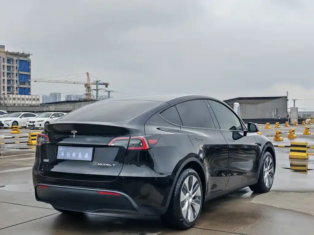 Tesla Model Y — фото 9