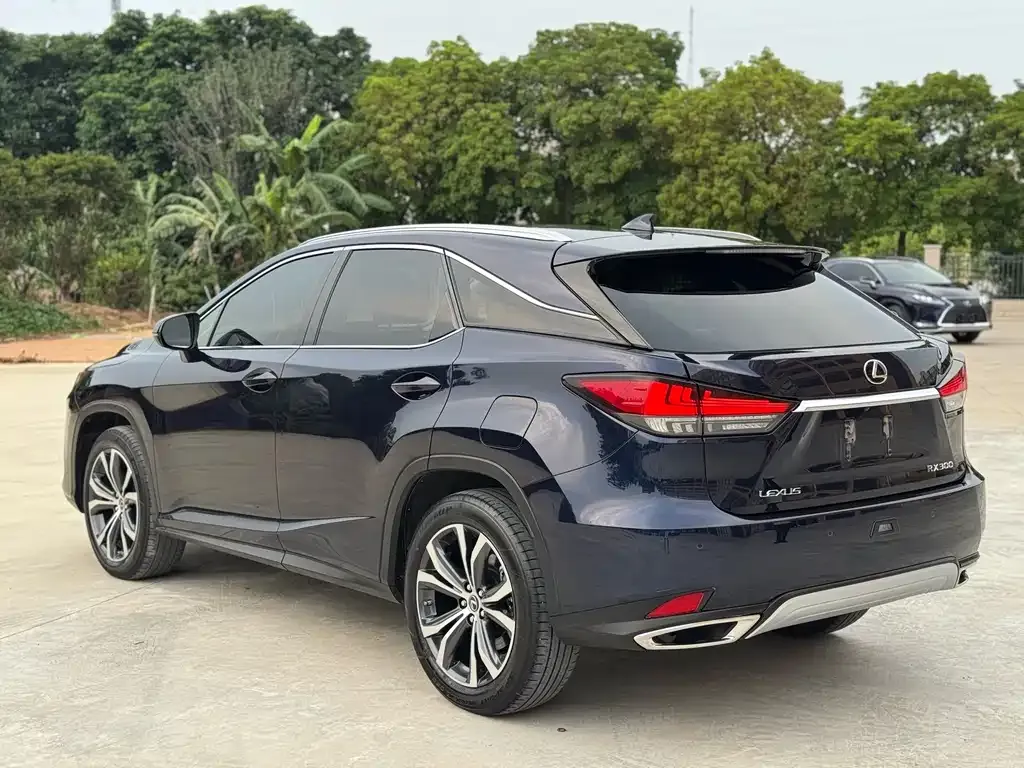 Lexus RX — фото 5