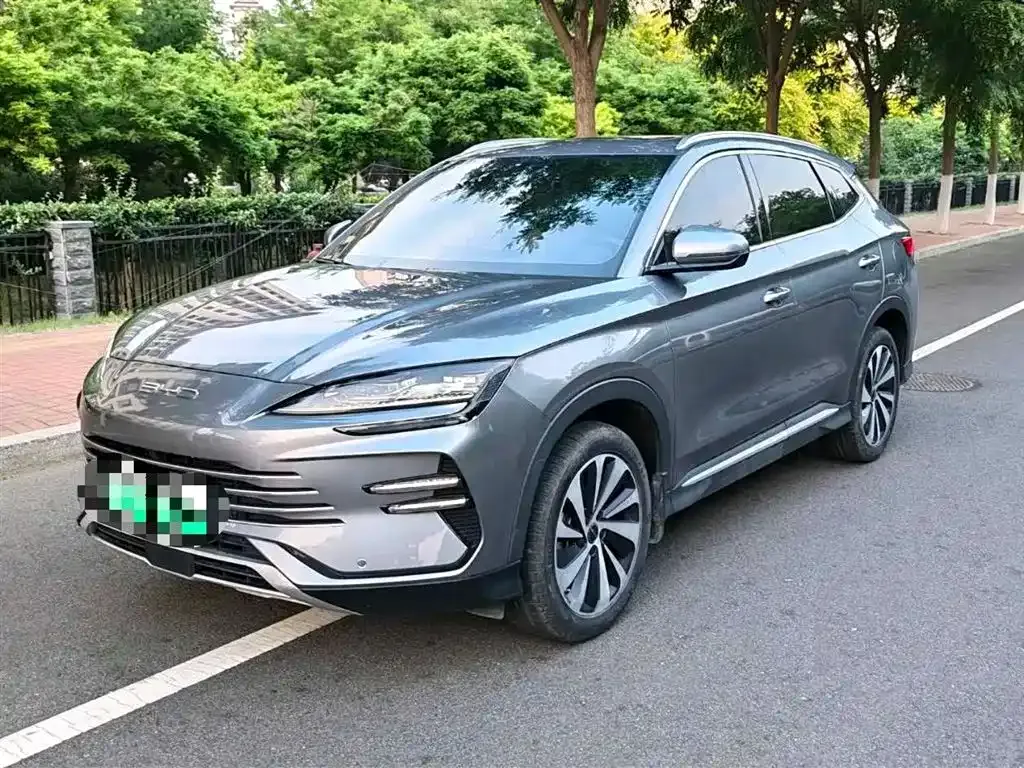 BYD PLUS New Energy — фото 1