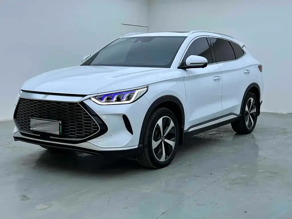 BYD PLUS New Energy — фото 1