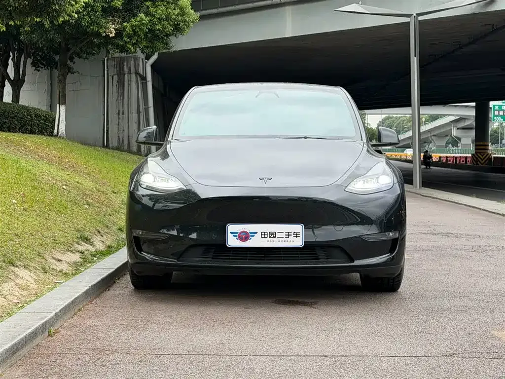 Tesla Model Y — фото 7