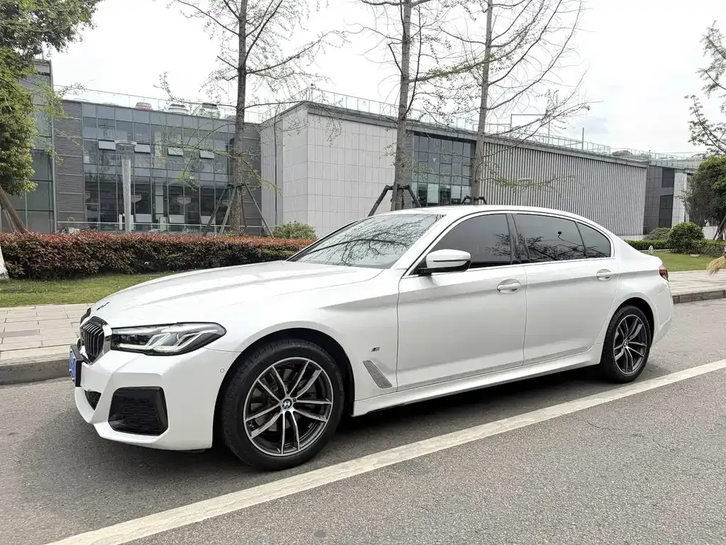 BMW 5 Series 2022 из CN, фото 1