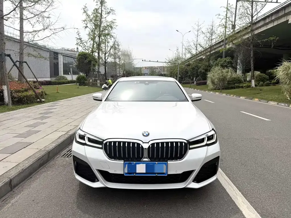 BMW 5 Series 2022 из CN, фото 7