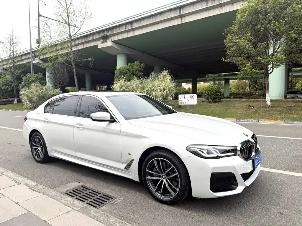 BMW 5 Series 2022 из CN, фото 9