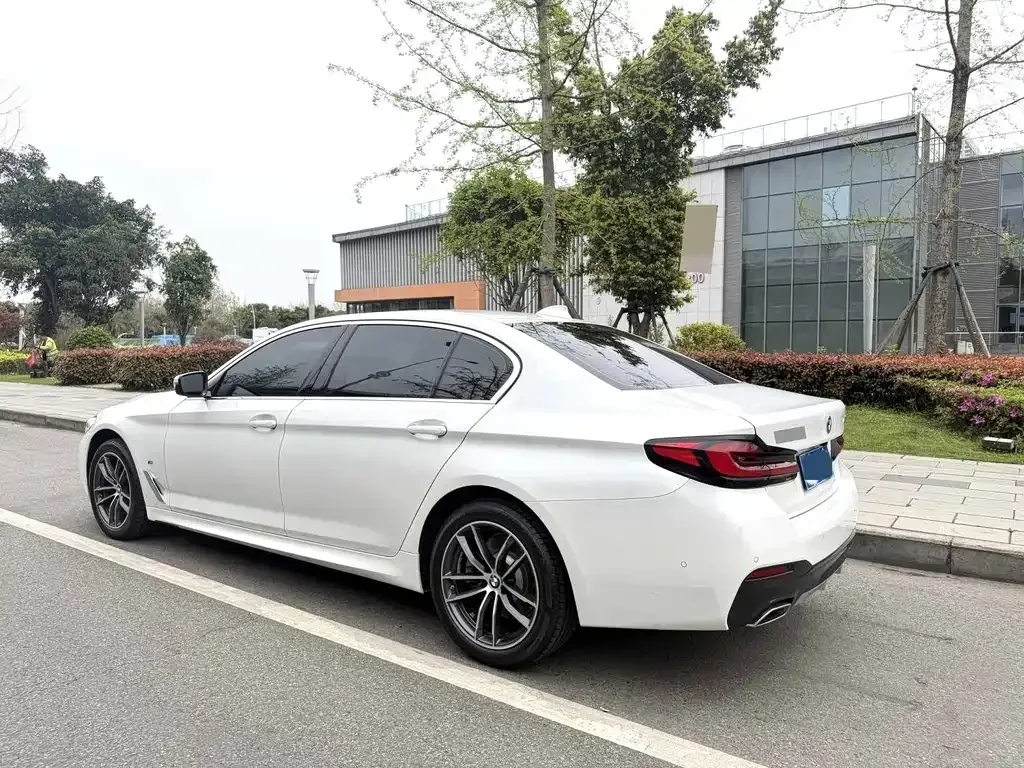 BMW 5 Series 2022 из CN, фото 5