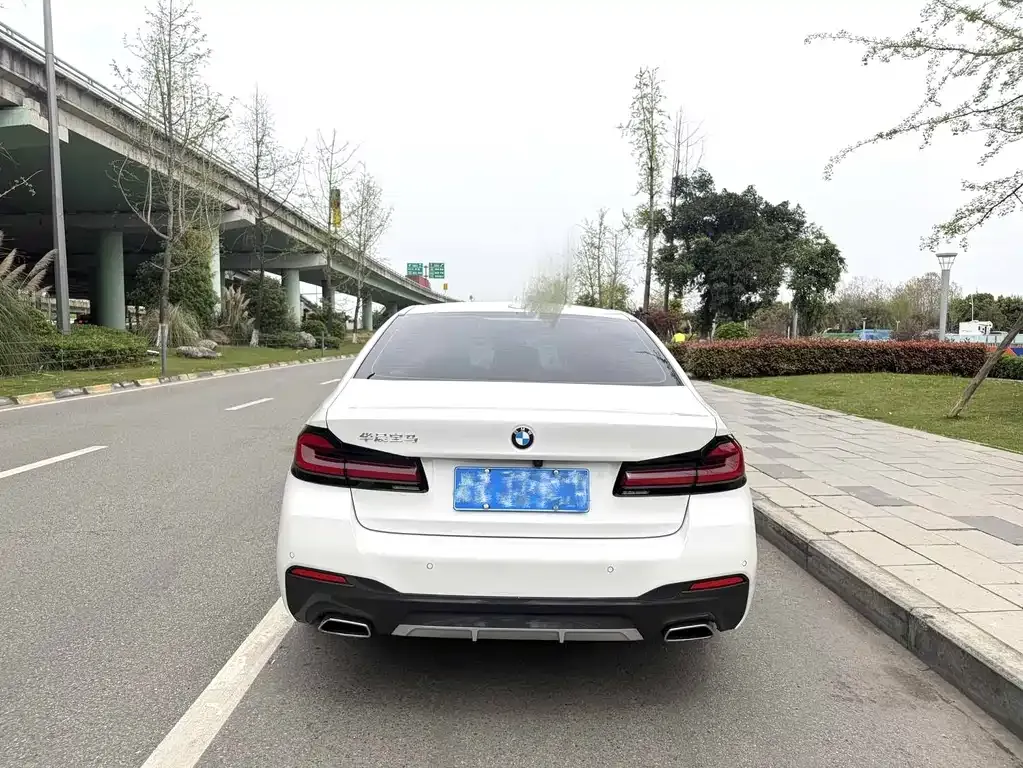 BMW 5 Series 2022 из CN, фото 3